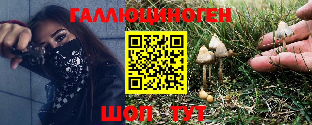 Псилоцибиновые грибы Magic Shrooms Новодвинск